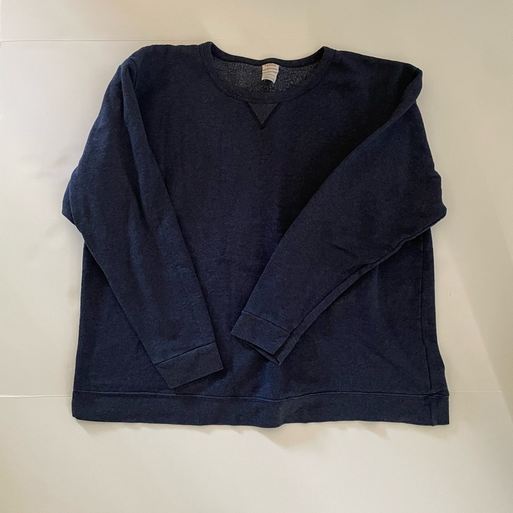 Hanes womens Sweatshirt, Ecosmart Fleece Pullover w/ V-notch